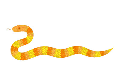 abstract orange cartoon snake pattern