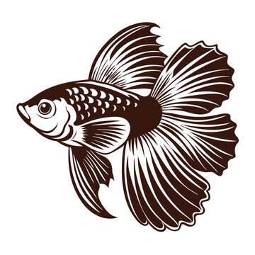 recommend clip art: Guppy vs betta vector silhouette Illustration Isolated white background.