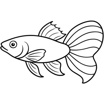recommend clip art: Guppy vs betta line art vector Illustration Isolated white background.