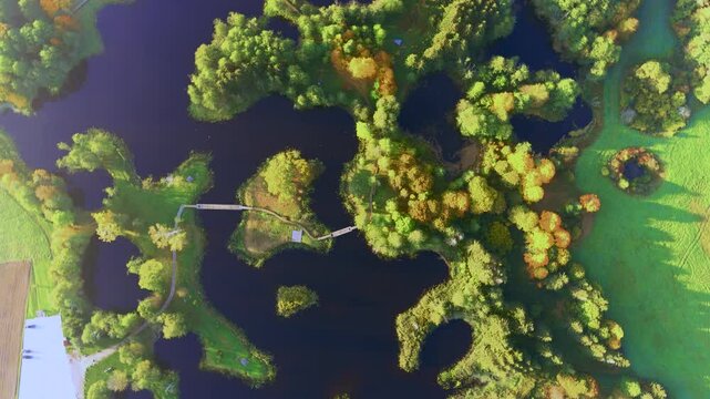 Amazing aerial top-down view of Kirkilai karst lakes and lookout tower on the bright sunny autumn morning, Birzai eldership, Panevezys county, Lithuania