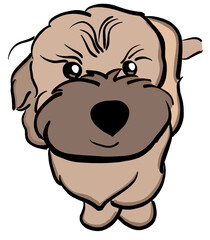 A cute poodle