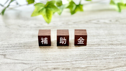 木の立方体に補助金の文字_白板背景