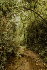 Fototapeta premium Nature trekking, scenic trails, hiking, camping, glamping, wildlife spotting