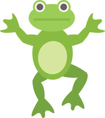 Green frog is jumping, its arms are raised, its legs are bent, its belly is light green