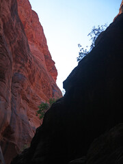 Looking up to the top of Buckskin Gulch canyon stone walls