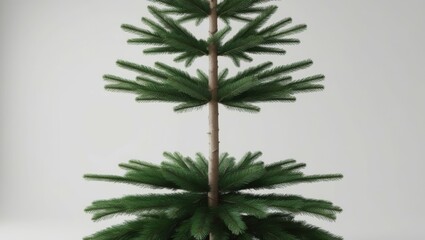 Christmas tree, minimalist, lone pine, symmetrical, centered, gray background, studio lighting, high detail, photorealistic, 3D render, clean lines, evergreen, conical shape, festive, holiday decor, s