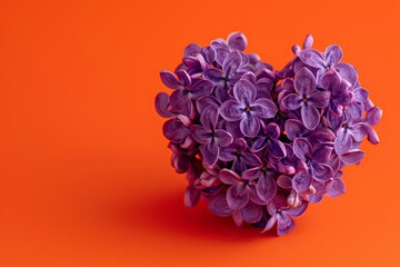 Fototapeta premium Lilac Flowers in Heart Shape on Orange Background