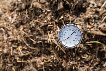 measuring the temperature of a Compost pile, organic thermophilic compost turning in Tasmania...