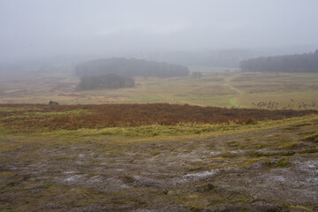 Bradgate Park in the UK. during the winter.