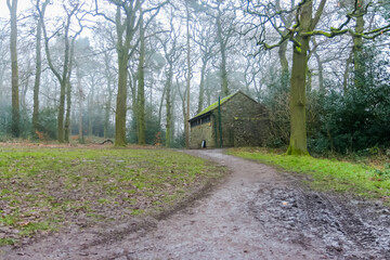Frosty morning in the middle of winter, Bradgate Park, UK.