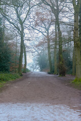 Fototapeta premium Frosty morning in the middle of winter, Bradgate Park, UK.