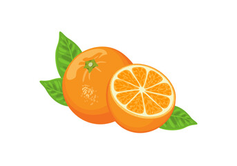 Orange fruit whole and half with green leaves. Vector cartoon illustration of fresh citrus.