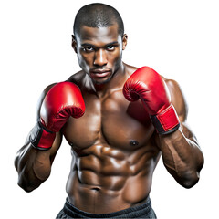 Attractive African american man boxer