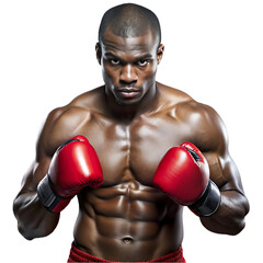 Attractive African american man boxer