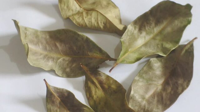 dried bay leaves