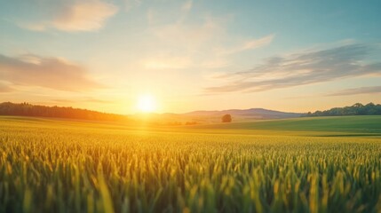 Breathtaking sunrise over lush green fields a serene landscape capturing the beauty of nature and tranquility.