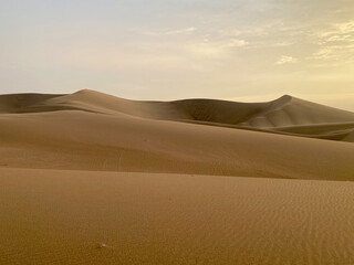 sand dunes in the desert