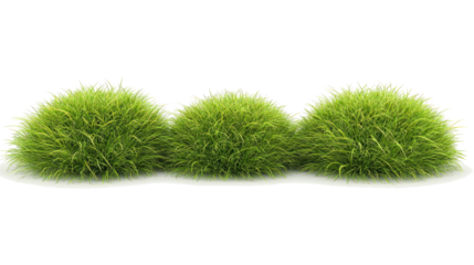 Lush Green Grass Meadows Set Isolated on a Transparent Background Generative AI