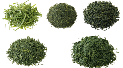 Variety of Green Tea Leaves Isolated on Transparent Background Generative AI