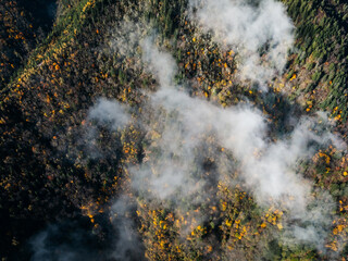 Aerial view of beautiful autumn forest landscape in the sunrise