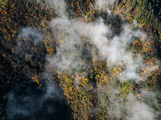 Aerial view of beautiful autumn forest landscape in the sunrise