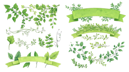 Herbal Illustrations With Scrolls on Transparent Background Generative AI