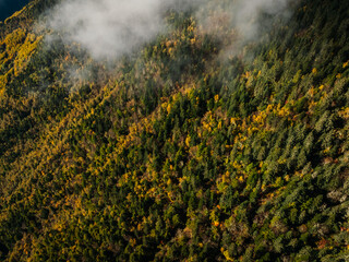 Aerial view of beautiful autumn forest landscape in sunrise
