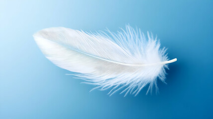 Light White Feather Floating in Air Against Blue Background
