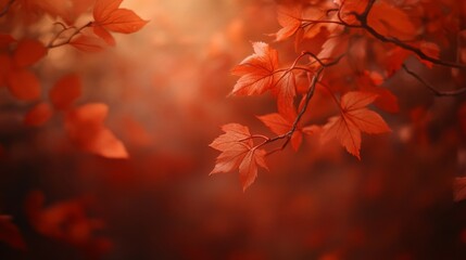 Fototapeta premium Gentle Fall Leaves with Soft Focus Lighting
