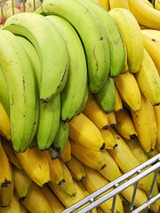 A bunch of green bananas and a bunch of yellow bananas are on the counter of a market, supermarket....