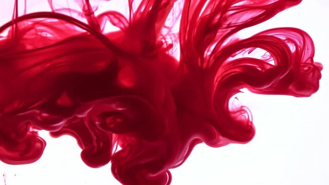  Ink's Intriguing Resemblance to Blood. Spellbinding Footage of Ruby Fluid Spreading Its Mystique on an Untouched White Backdrop. Red blood transition pattern background, slow motion. Towards Camera. 