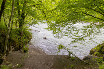 nature park , spring mood, a walk along the riverbed with an overview of the stone riverbed