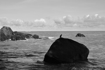 Sea and rocks.