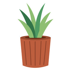 succulent plant potted icon