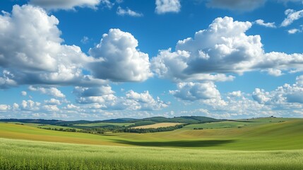 Fototapeta premium A serene field under a clear blue sky with fluffy clouds