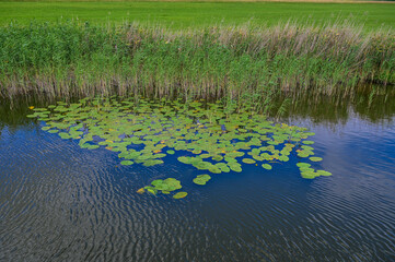 Mit dem Hausboot über die Havel in der Lünower Streng– Entspannender Wochenendtrip auf dem Wasser durch Brandenburg an der Havel, Deutschland