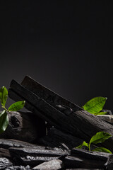 Overlapping black charcoal blocks form a product display area, adorned with fresh leaves on a dark background, showcasing the opulent and minimalistic product advertising picture.