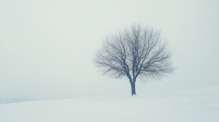 Fototapeta premium A lone tree emerges from a blanket of snow