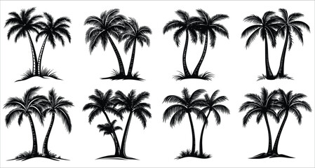 Obraz premium Tropical palm tree silhouettes vector design. Vector set of palm tree silhouettes. Beautiful palm tree silhouettes vector art. Palm tree silhouettes for summer designs 