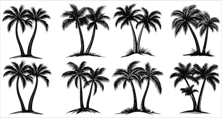 Fototapeta premium Tropical palm tree silhouettes vector design. Vector set of palm tree silhouettes. Beautiful palm tree silhouettes vector art. Palm tree silhouettes for summer designs 