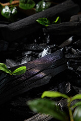 A natural appearance for the products is produced by arranging leaves around stacked blocks of glittering charcoal to provide space for product displays. Template for an ad shot with a dark backdrop.