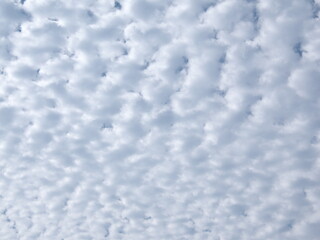 Tokyo,Japan - October 24, 2024: Altocumulus clouds on autumn sky

