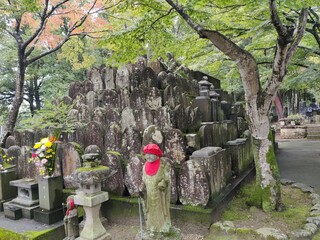Sendai Between mountain and ocean