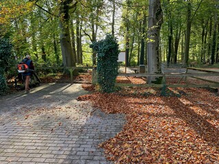 Man working on using a leaf blower to clear a sidewalk of leaves that have fallen in the fall.