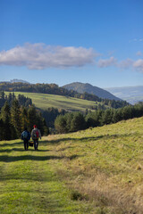 Fototapeta premium Two tourists with a basket of mushrooms on sunny autumn day in Pieniny, Szczawnica, Poland