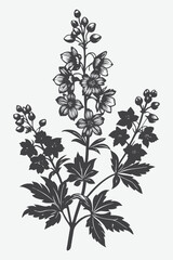 Delphinium Branch with Flowers Silhouette Vector Illustration in Black and White Botanical Art Design