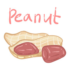 Peanuts with the skin open, revealing two red beans inside. Peanut skins have a natural fibrous texture, while peanuts themselves have a smooth and shiny surface.