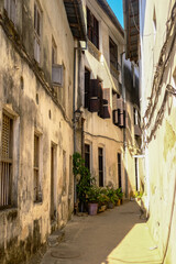 Zanzibar's Architectural Heritage: Historic Homes and Alleyways

