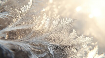 A breathtaking macro shot of frost crystals on a window, capturing the fragile and exquisite patterns created by winter