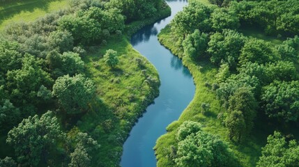 Serene Aerial View of a Winding River in Green Landscape